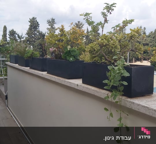 עציצים עם צמחים על מעקה מרפסת